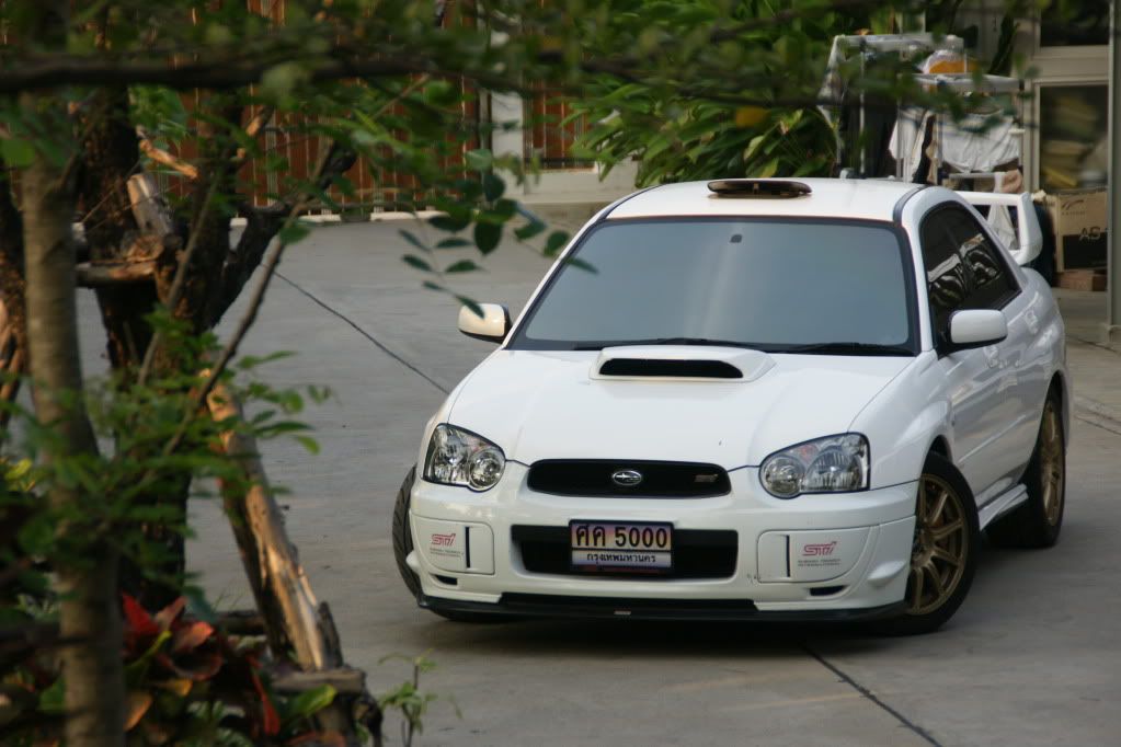 DSC00415.jpg