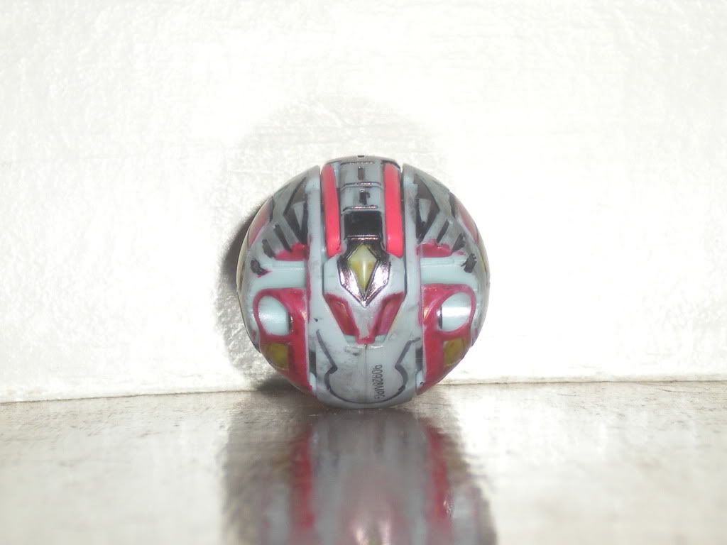DSCN4017.jpg