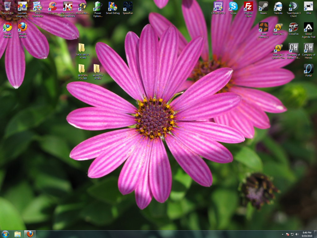 DesktopFlower-1.png?t=1284947208