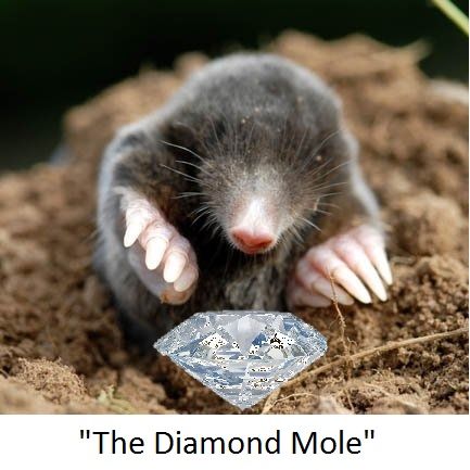 [Image: diamond-mole001_zpsnwhsf5nv.jpg]