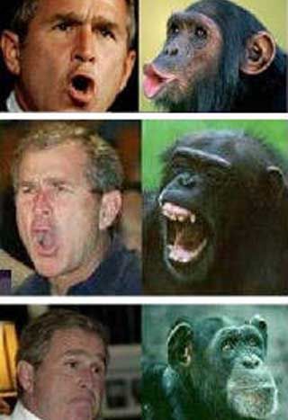 http://i799.photobucket.com/albums/yy275/unhappy_2009/bush-funny-face-4.jpg