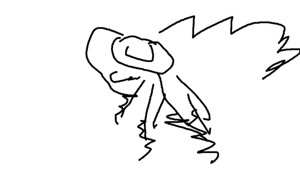 [image loading]