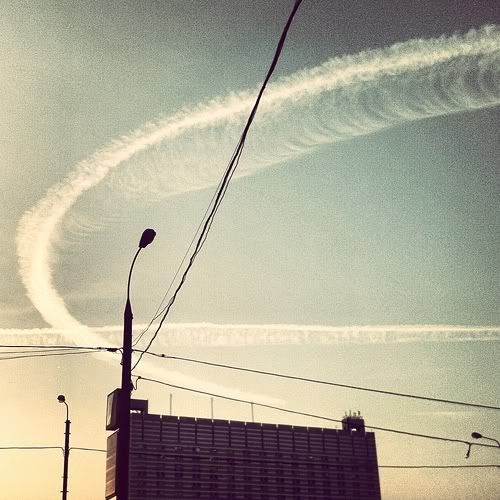 Размещенное изображение