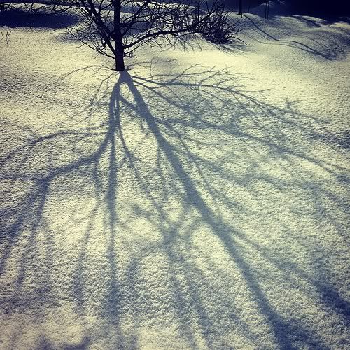 Размещенное изображение