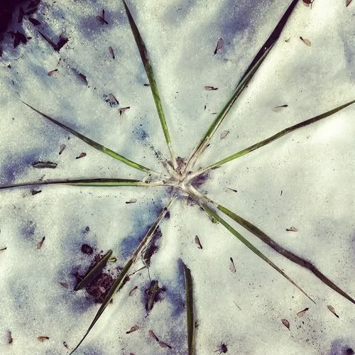 Размещенное изображение