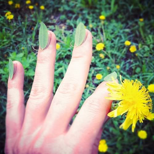 Размещенное изображение