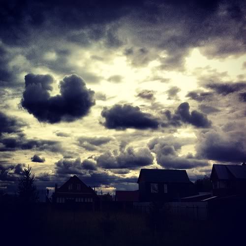 Размещенное изображение