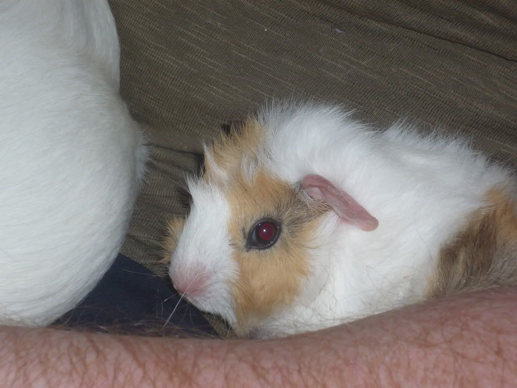carlyandgeorgie016.jpg