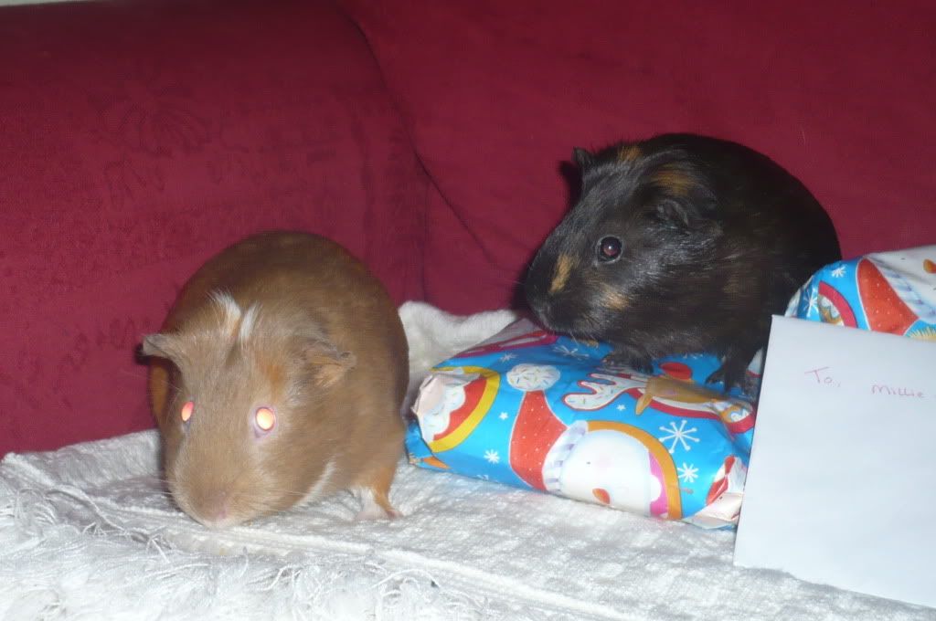 millieandsophie002.jpg