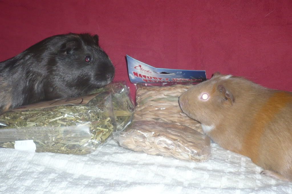millieandsophie003.jpg